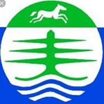 Profile Picture of bradonmemeforest (@bradonmemeforest) on Instagram