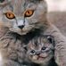 Profile Picture of Ernest Laskowski (@ernest.laskowski.10) on Facebook