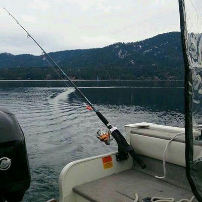 Profile Picture of Jason Kruenegel (@jkkokanee) on Twitter