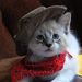 Profile Picture of Anton Man (@710infos) on Pinterest