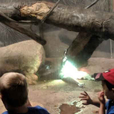 Profile Picture of Chad Severson (@CubViking) on Twitter