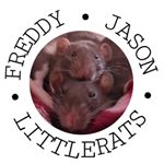 Profile Picture of 𝙵𝚛𝚎𝚍𝚍𝚢 & 𝙹𝚊𝚜𝚘𝚗🐀 (@freddy_jason_littlerats) on Instagram