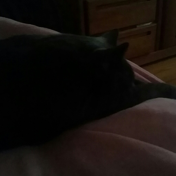 Profile Picture of Vanessa Miramontes (@vanessa21414) on Poshmark