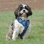 Profile Picture of Misty/Mishty シ (@the_.real_.misty) on Instagram