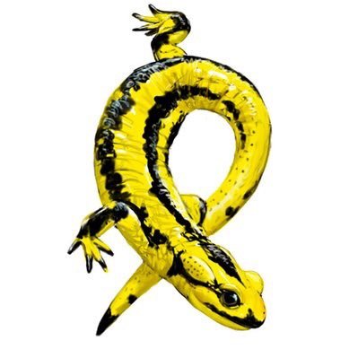 Profile Picture of Lluís Brotons (@lluisbrotons) on Twitter