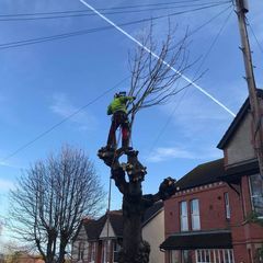 Profile Picture of James Weir (@jamesweir32) on Tiktok