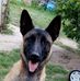 Profile Picture of Melvin Kopp (@melvin.kopp.1) on Facebook