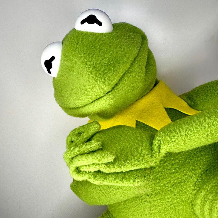 Profile Picture of Daddy Kermit (@realdaddykermit) on Tiktok