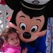 Profile Picture of Andrea Dale (@farrowandi) on Pinterest