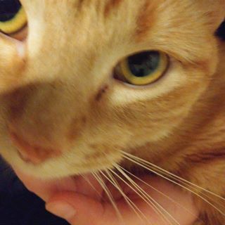 Profile Picture of Kataya Mitchell (@kataya.mitchell) on Facebook