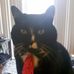 Profile Picture of Mickey Cornelius Doo (@mickeycornelius.doo) on Facebook