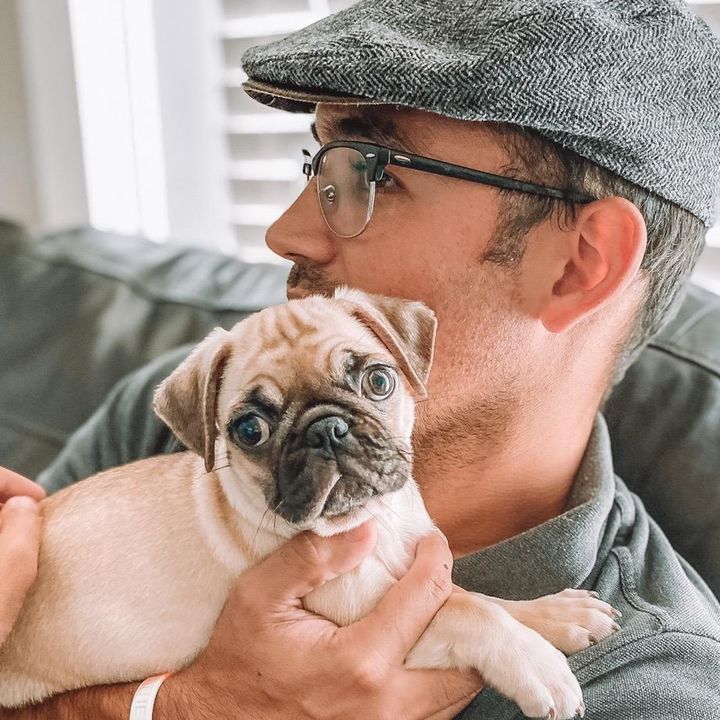 Profile Picture of Dwayne H Daniels (@thisisdwayne) on Tiktok