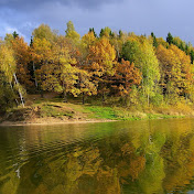 Profile Picture of Alexander Urquijo (@alexanderurquijo3081) on Youtube