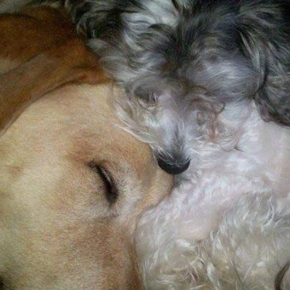 Profile Picture of Gena Pappas (@genapappas) on Poshmark