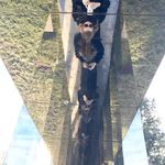 Profile Picture of Ann Eicher (@ann_eicher) on Instagram