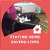 Profile Picture of Joyce Foxx (@joyce.foxx.376) on Facebook