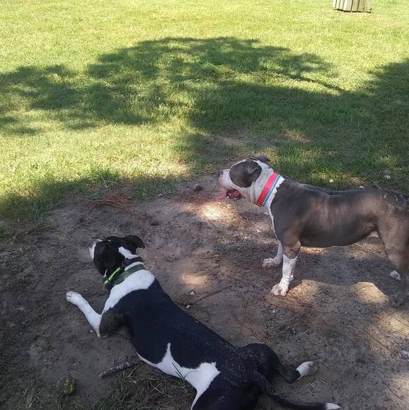 Profile Picture of Douglas Rouse (@douglasrouse) on Poshmark