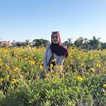 Profile Picture of Ayah Bany-Mohammed (@ayahbm) on Instagram