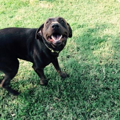 Profile Picture of David Ray Worley Jt (@i_like_picklez) on Twitter