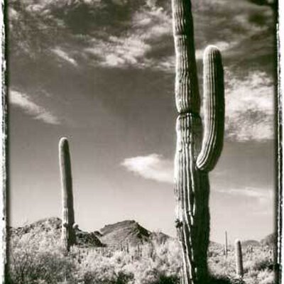 Profile Picture of Bryan Mertz (@bryanmertz) on Twitter