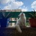 Profile Picture of Nancy Ahmed (@nancy.ahmed.58760) on Facebook