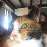 Profile Picture of Thomas Newcombe (@the_reaper9000) on Instagram