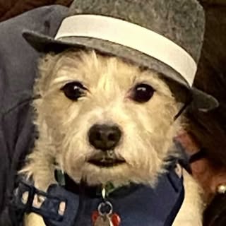 Profile Picture of John Frezza (@john_frezza) on Instagram