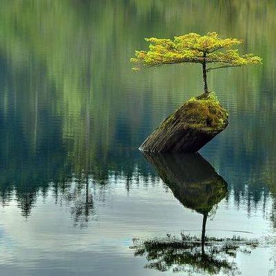 Profile Picture of Elaine R Yakubik (@Secrenity22222) on Twitter