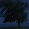 Profile Picture of Albert Smoke (@albert.smoke) on Tiktok