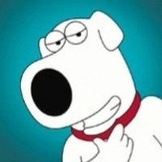 Profile Picture of Brian Griffin I’am a writer🐾📚📝 (@official.brian.griffin) on Instagram