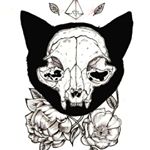 Profile Picture of Kimberly ☆ (@lapple.du.vide) on Instagram