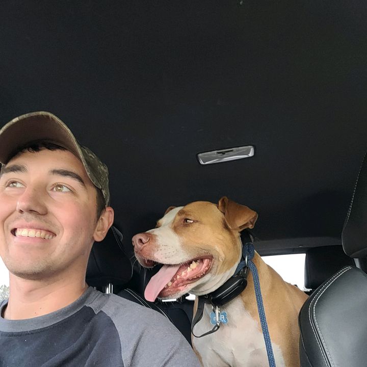 Profile Picture of Stephen Mogavero (@stevemogavero) on Tiktok