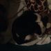 Profile Picture of Matthew Trumbull (@matthew.trumbull.5) on Facebook