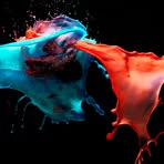 Profile Picture of Edin Gasini (@Edin-Gasini) on Facebook