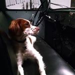 Profile Picture of Steve Hartzell (@1950l130) on Instagram