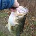 Profile Picture of Raymond Hinkle (Raymond Poocheye Hinkle ) (@raymond.hinkle.3) on Facebook