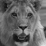 Profile Picture of Ben Klopper (@klopperben) on Instagram