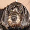 Profile Picture of Tony Strange (@Tony Strange) on Flickr