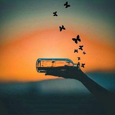 Profile Picture of LB 💐 (@lisamotta1) on Twitter