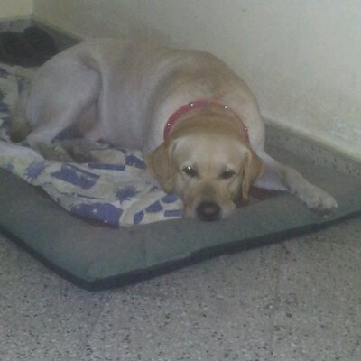 Profile Picture of Aurelio Ortiz (@aurelioortiz) on Twitter