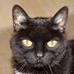 Profile Picture of Doris Schultz (@do.ra.9235199) on Facebook