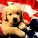 Profile Picture of Daniel Struble (@danielstruble1) on Pinterest