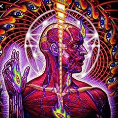 Profile Picture of Steve Silvas (@stevesilvas1) on Tiktok