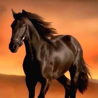 Profile Picture of 🇴🇲 سالم الجعفري 🇴🇲 (@elham_aljaafari) on Twitter