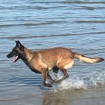 Profile Picture of Jonathan Karl (@jonathan_james826) on Instagram