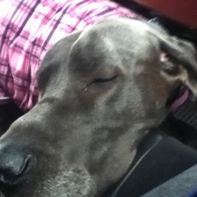 Profile Picture of Evan Bradshaw (@bradshawrox) on Twitter