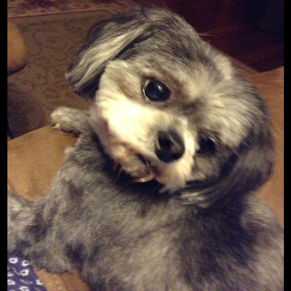 Virginia Dente - Poshmark Profile Picture of Virginia Dente (@virginiamarie) on Poshmark