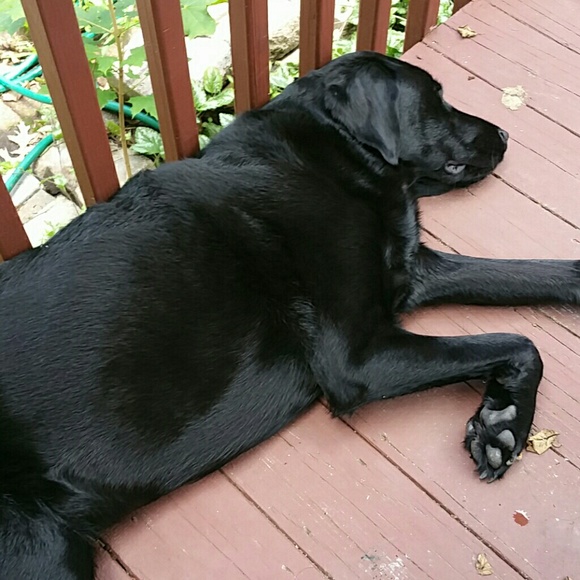 Profile Picture of Kevin Roche (@kroche14) on Poshmark