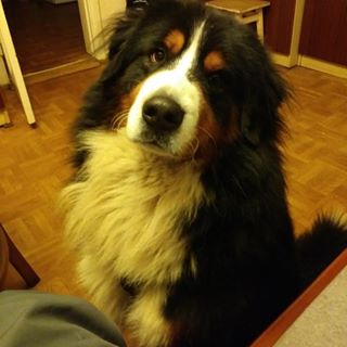 Profile Picture of James Franklin (@James-Franklin) on Facebook