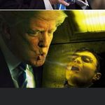 Profile Picture of Michael Nowinski (@nowinskimichael) on Instagram